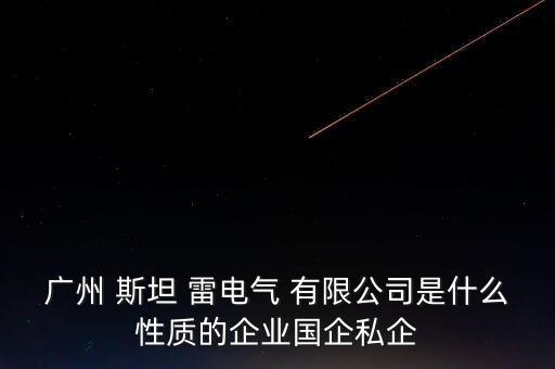 广州 斯坦 雷电气 有限公司是什么性质的企业国企私企