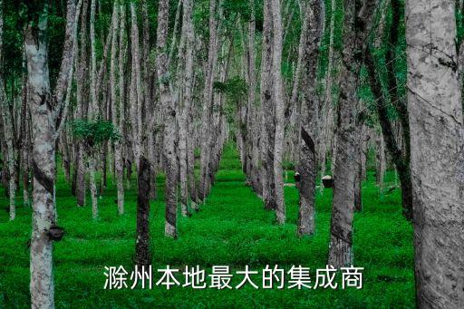 安徽网新科技有限公司滁州分公司,安徽换换新科技有限公司