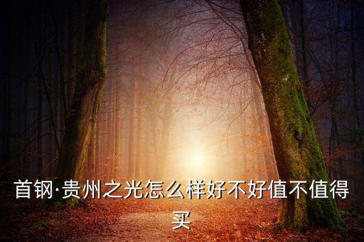 首钢·贵州之光怎么样好不好值不值得买
