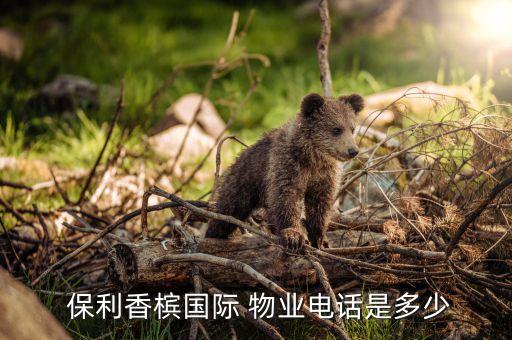 保利物业管理有限公司合肥分公司,湖南保利物业管理有限公司