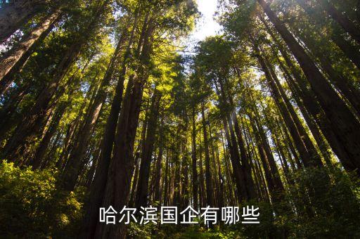 黑龙江省大正投资集团有限公司