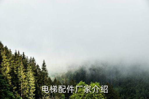 电梯配件厂家介绍