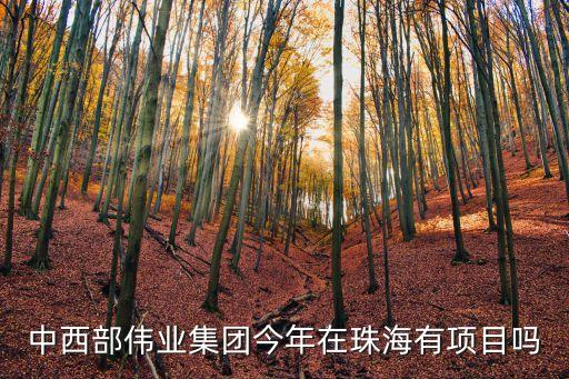 中西部伟业集团今年在珠海有项目吗