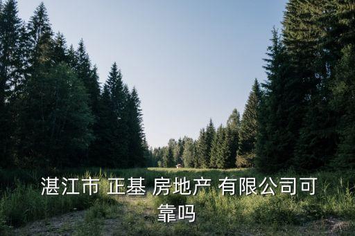 湛江市正基房地产有限公司,石家庄正基房地产开发有限公司