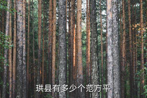 珙县有多少个范方平