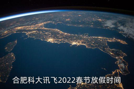 安徽讯飞智元信息科技有限公司