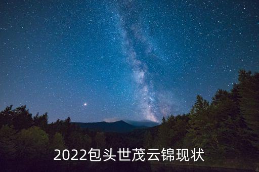 2022包头世茂云锦现状