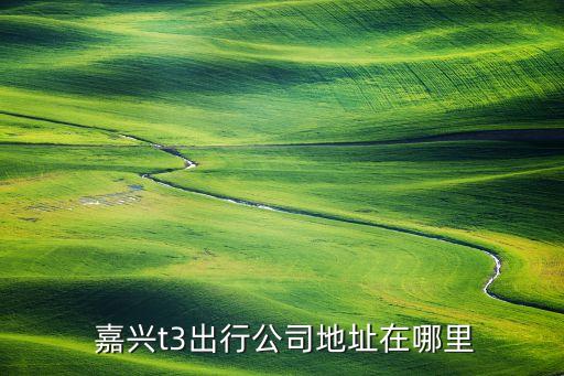  嘉兴t3出行公司地址在哪里