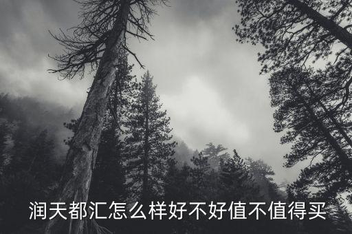  润天都汇怎么样好不好值不值得买