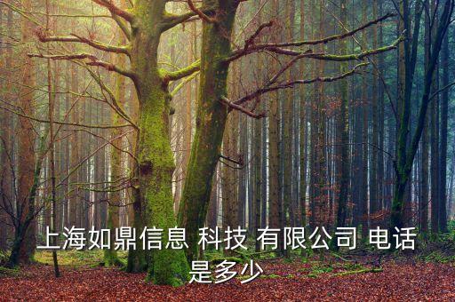 上海如鼎信息 科技 有限公司 电话是多少