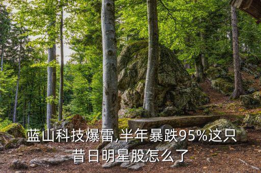  蓝山科技爆雷,半年暴跌95%这只昔日明星股怎么了