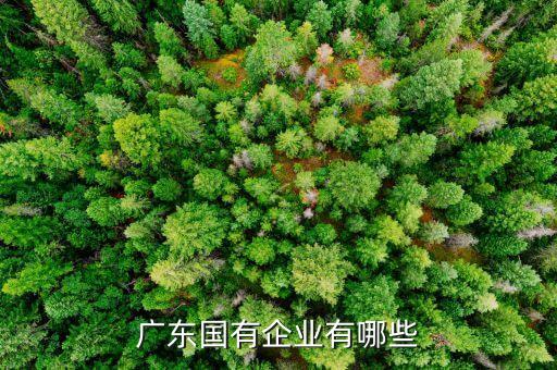 广东国有企业有哪些