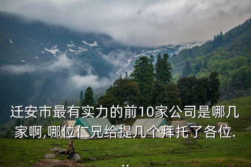迁安市最有实力的前10家公司是哪几家啊,哪位仁兄给提几个拜托了各位...