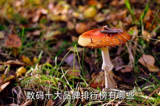 爱提数码科技有限公司,杭州海康威视数码科技有限公司