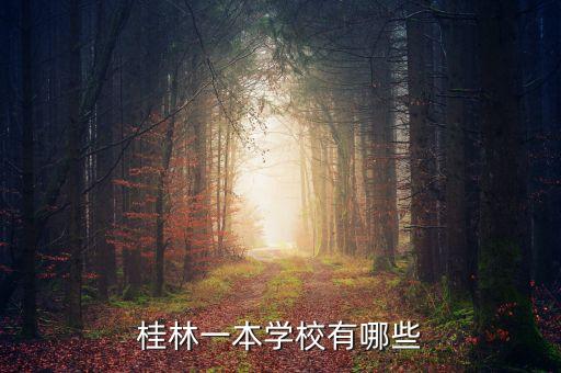 桂林一本学校有哪些