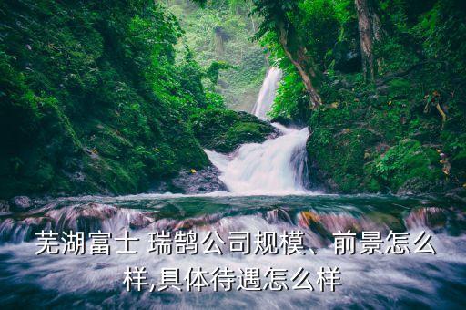  芜湖富士 瑞鹄公司规模、前景怎么样,具体待遇怎么样