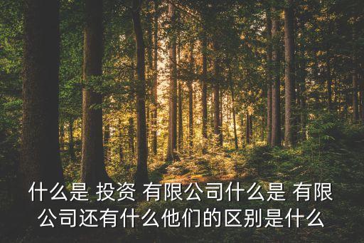 什么是 投资 有限公司什么是 有限公司还有什么他们的区别是什么