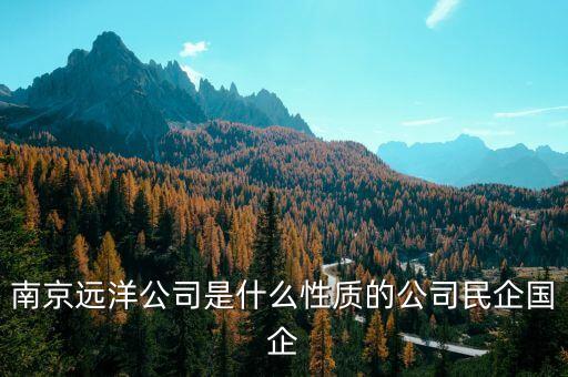 南京远洋公司是什么性质的公司民企国企