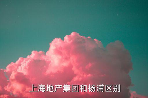  上海地产集团和杨浦区别