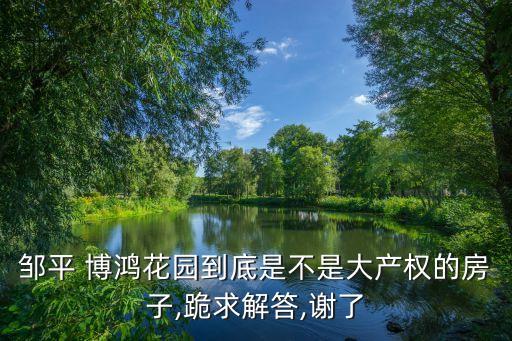 邹平 博鸿花园到底是不是大产权的房子,跪求解答,谢了