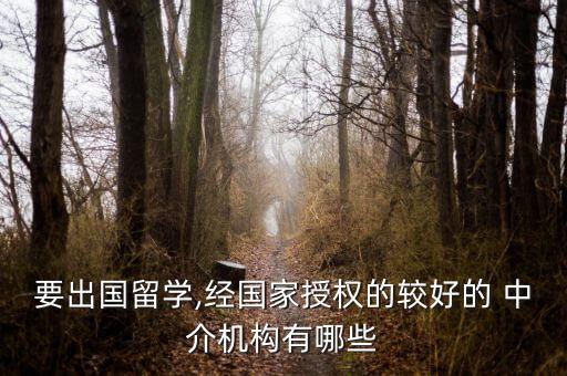 要出国留学,经国家授权的较好的 中介机构有哪些