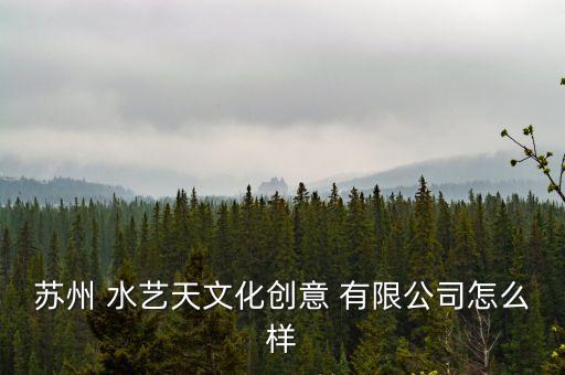 苏州 水艺天文化创意 有限公司怎么样