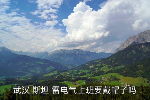 武汉 斯坦 雷电气上班要戴帽子吗