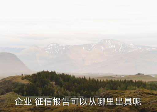 企业 征信报告可以从哪里出具呢