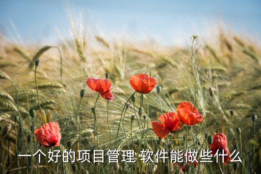 一个好的项目管理 软件能做些什么