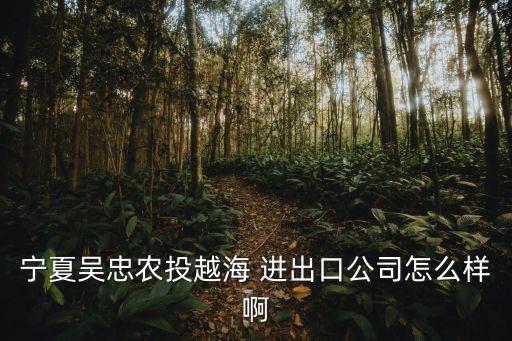 宁夏吴忠农投越海 进出口公司怎么样啊