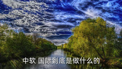 中软 国际到底是做什么的