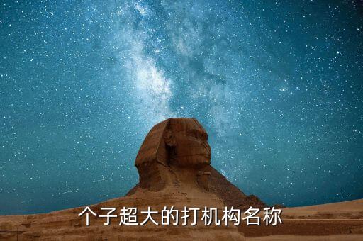 个子超大的打机构名称