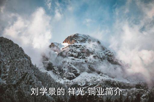 刘学景的 祥光 铜业简介