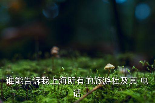 谁能告诉我上海所有的旅游社及其 电话