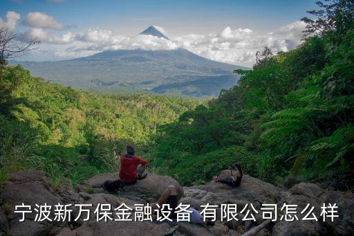宁波新万保金融设备 有限公司怎么样