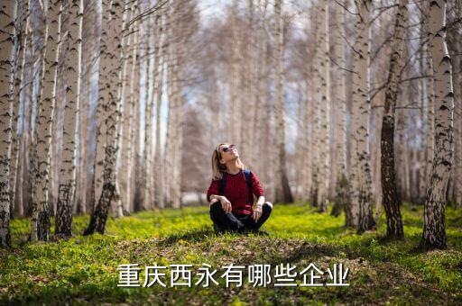 重庆方德文化旅游发展有限公司,重庆永宏智造文化旅游有限公司