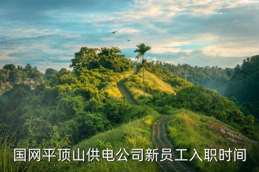 国网平顶山供电公司新员工入职时间