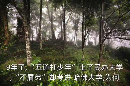 武汉哈佛科技发展有限公司,武汉航达航空科技发展有限公司招聘