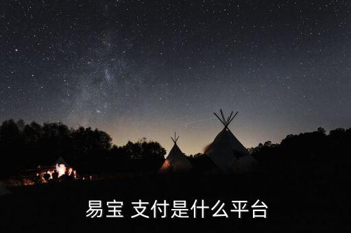  易宝 支付是什么平台