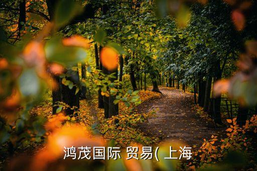鸿茂国际 贸易( 上海