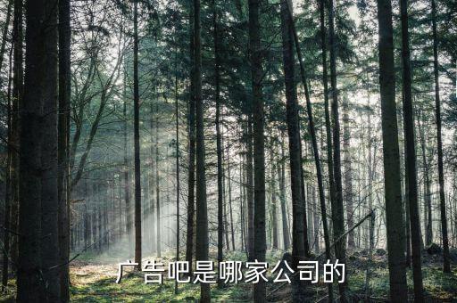  广告吧是哪家公司的