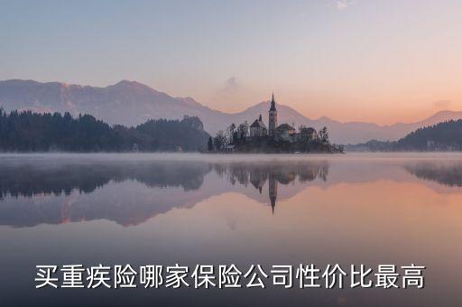 买重疾险哪家保险公司性价比最高