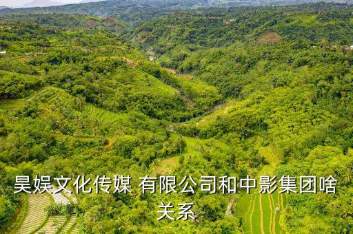 昊娱文化传媒 有限公司和中影集团啥关系