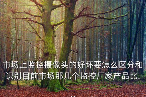 市场上监控摄像头的好坏要怎么区分和识别目前市场那几个监控厂家产品比...