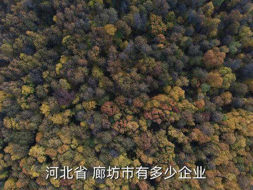 河北省 廊坊市有多少企业