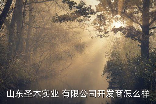 山东圣木实业 有限公司开发商怎么样