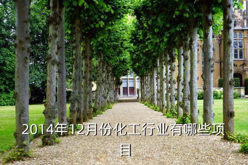 2014年12月份化工行业有哪些项目