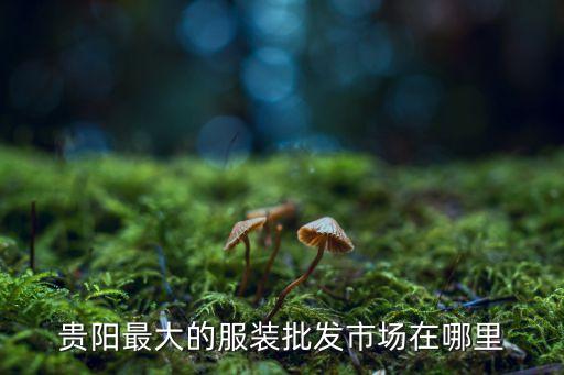 贵阳最大的服装批发市场在哪里