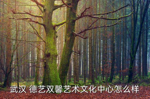 武汉 德艺双馨艺术文化中心怎么样