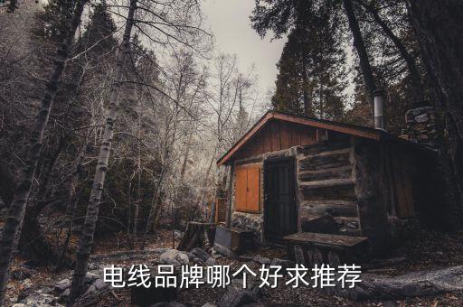 电线品牌哪个好求推荐